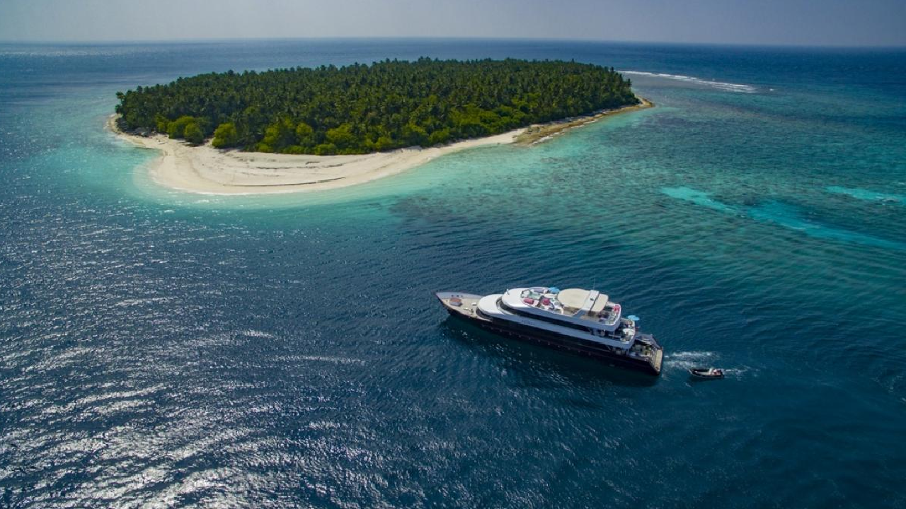 Azalea, Maldives (2)