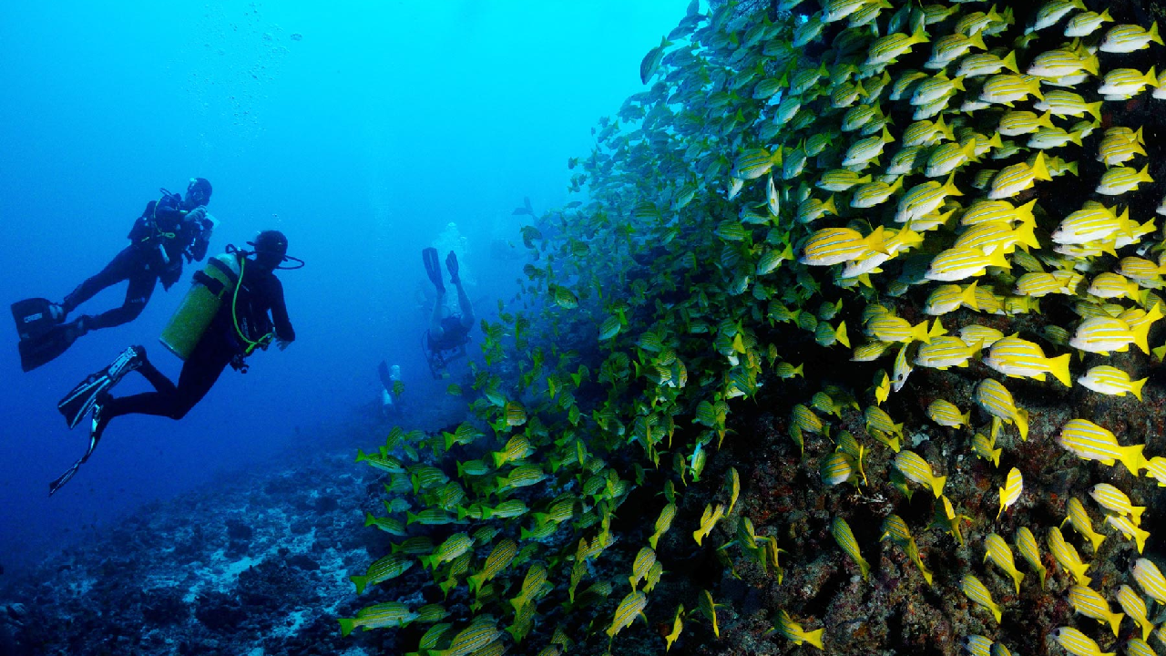 Blue Force One, Maldives (10)