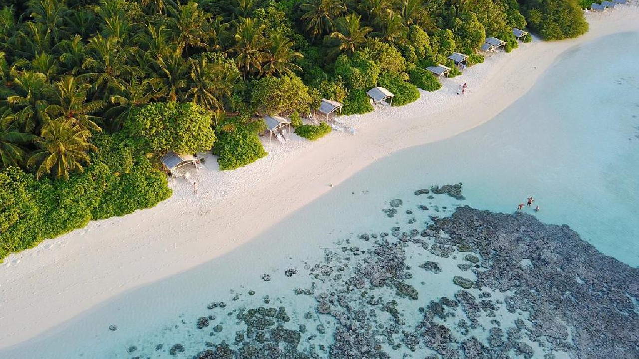 Plumeria Maldives-Thinadhoo (1)